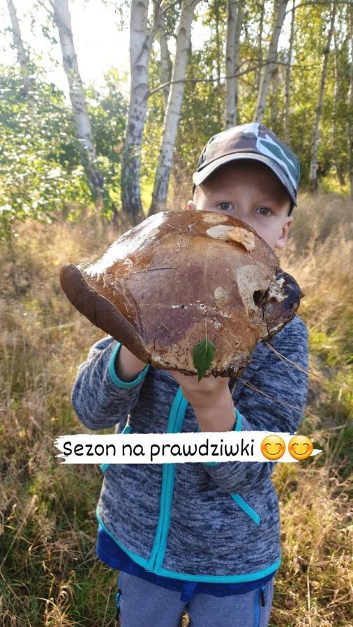 Aris Pokoje Goscinne Wojnicz Екстериор снимка